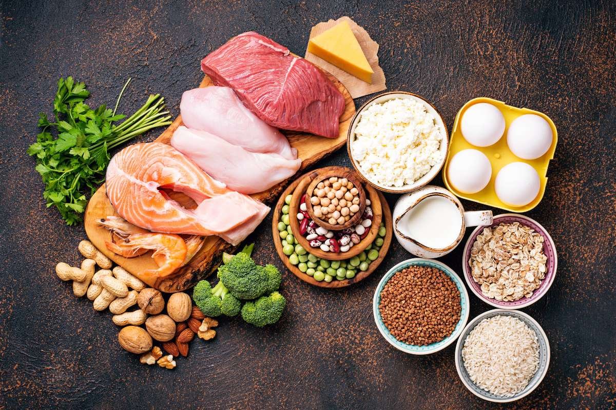 How Do You Know If You Are Eating Too Much Protein | The Lifesciences Magazine