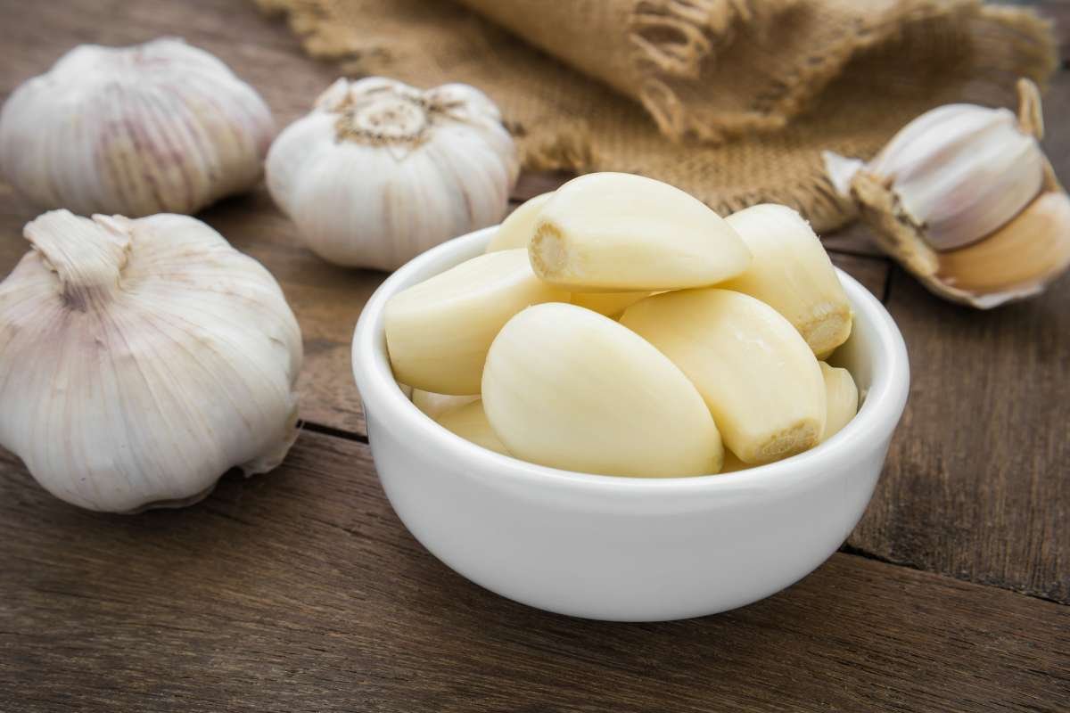 Natural Remedies for Toothache Pain That Bring Instant Comfort | The Lifesciences Magazine