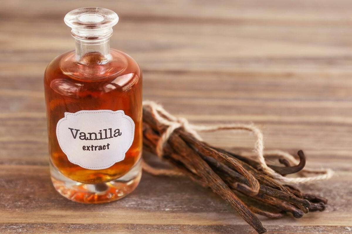 Natural Remedies for Toothache Pain That Bring Instant Comfort | The Lifesciences Magazine