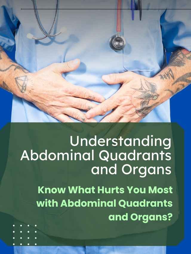 Abdominal Quadrants and Organs Help You Read Your Body Better