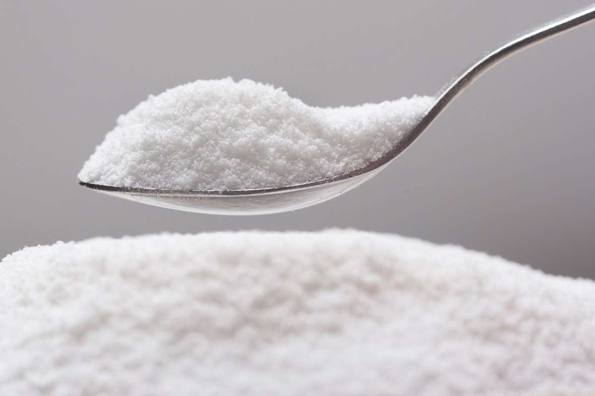 Artificial Sweeteners Tied to Rapid, Alarming Brain Decline | The Lifesciences Magazine