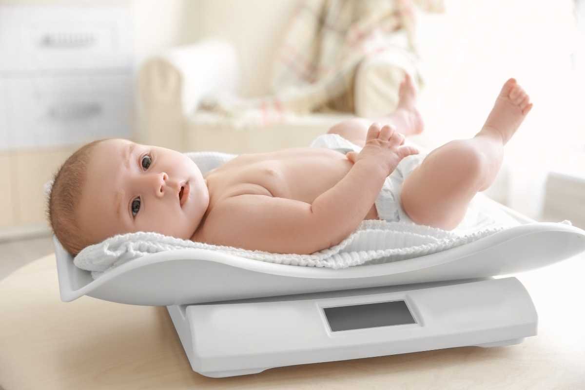 Average Baby Weight By Month: Trusted Growth Guide | The Lifesciences Magazine