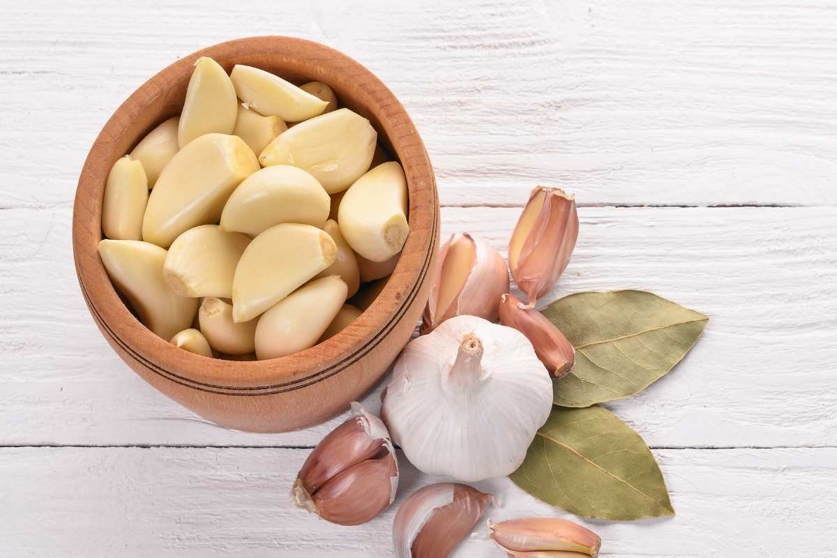 Garlic for Toothaches: Is this the Missing Remedy You Need? | The Lifesciences Magazine