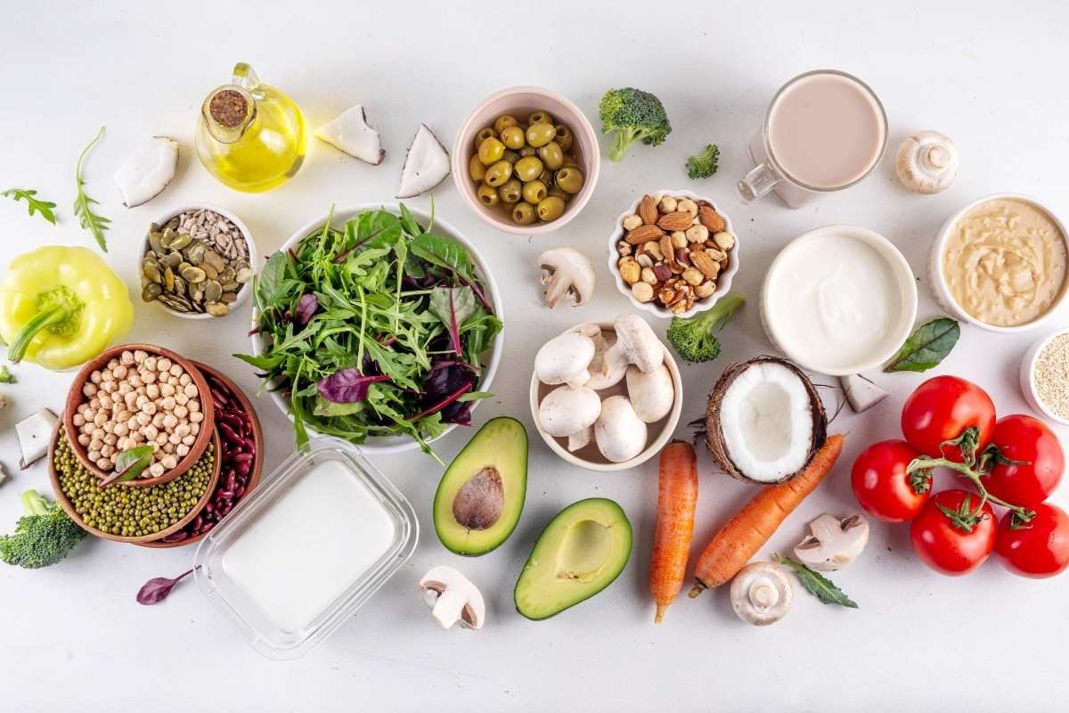 Low-Carb Diet Meal Plan to Burn Fat & Boost Energy | The Lifesciences Magazine