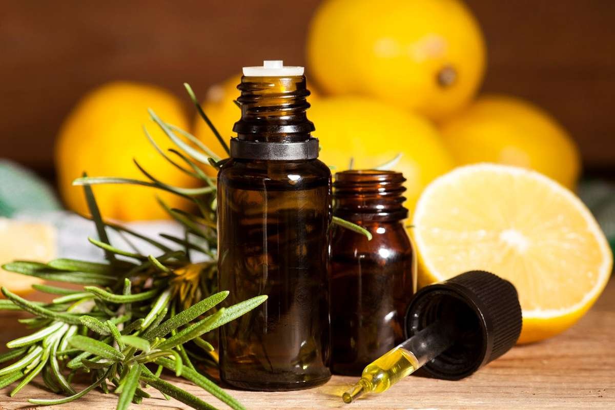 Essential Oils for Bug Bites: Relief, Healing & Prevention | The Lifesciences Magazine