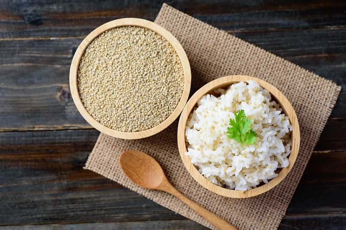 Quinoa vs Rice: Which One Truly Deserves a Place on Your Plate? | The Lifesciences Magazine