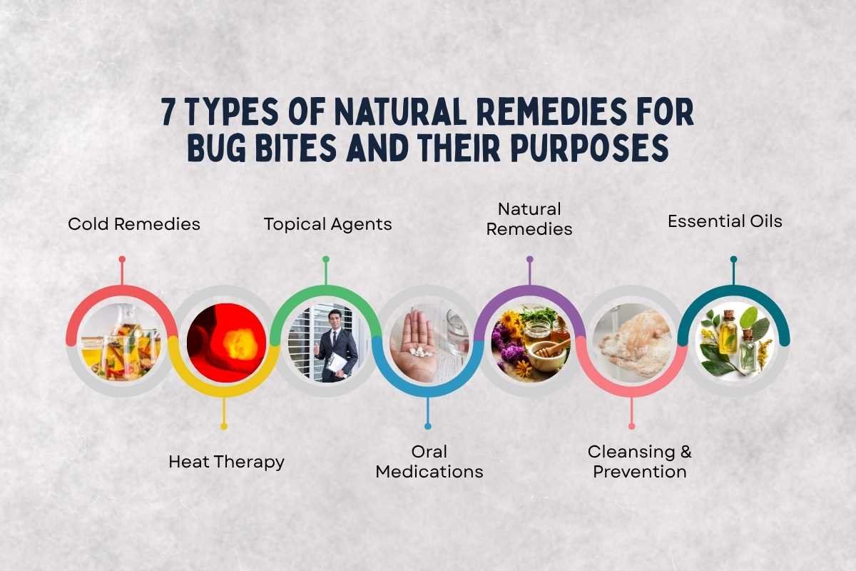 Natural Remedies for Bug Bites That Actually Bring Relief | The Lifesciences Magazine