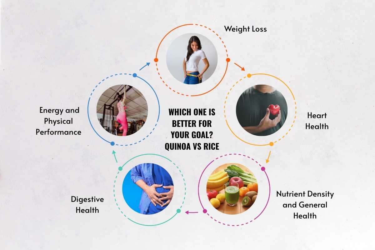 Quinoa vs Rice: Which One Truly Deserves a Place on Your Plate? | The Lifesciences Magazine