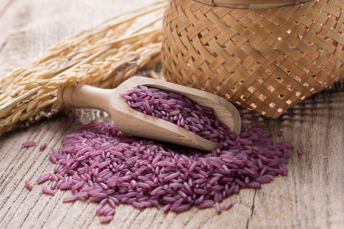 Purple Rice Nutrition: Boost Health with Bold Flavor | The Lifesciences Magazine