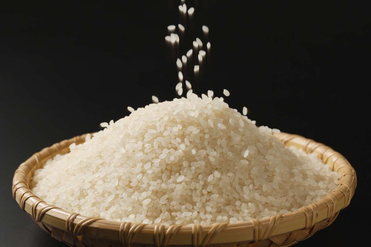 Arsenic in Rice Exposes Hidden, Dangerous Health Risk | The Lifesciences Magazine