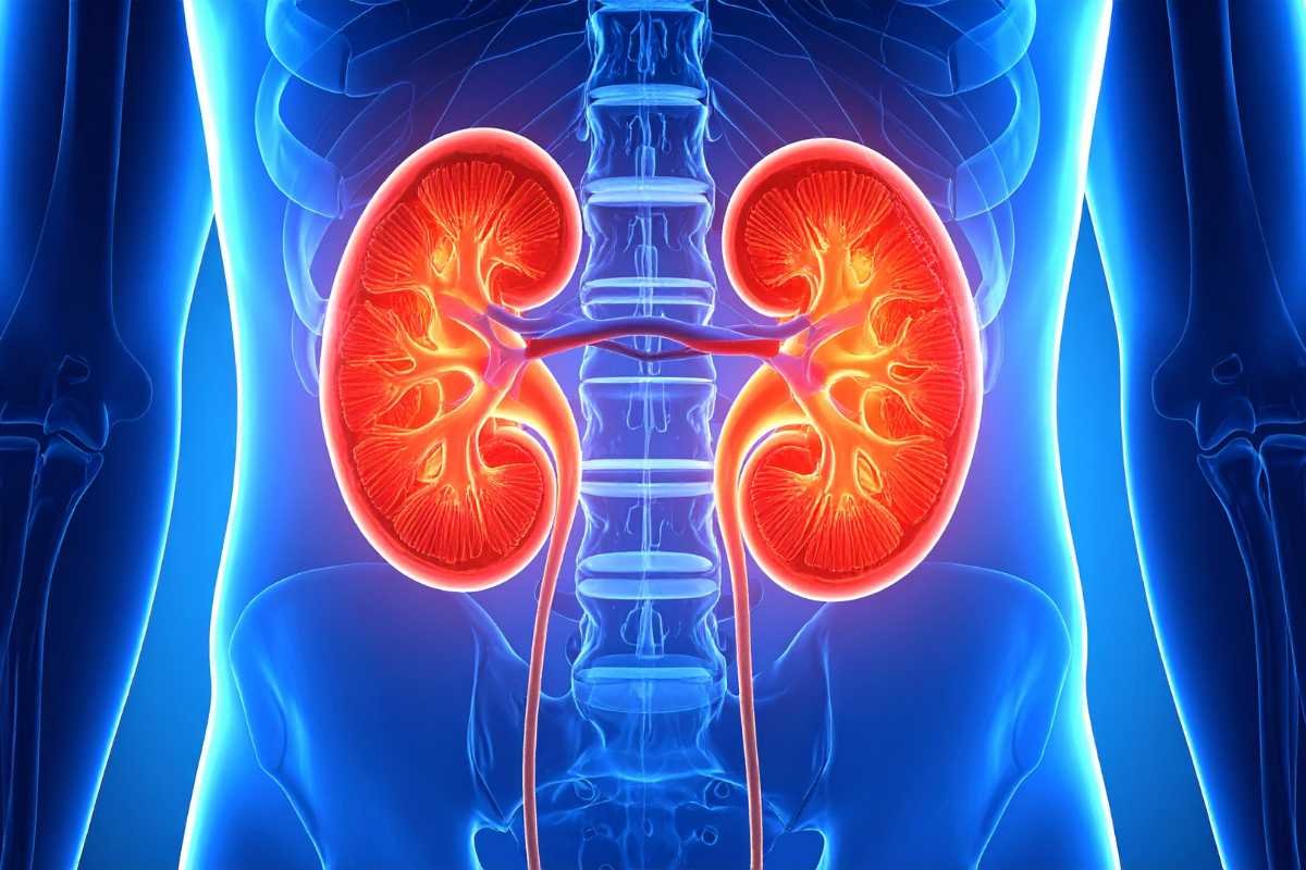 Ignoring the Normal pH Range for Urine Could Hurt Your Health | The Lifesciences Magazine