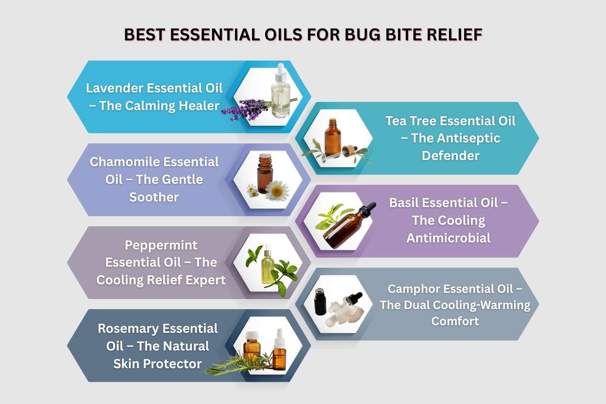 Essential Oils for Bug Bites: Relief, Healing & Prevention | The Lifesciences Magazine