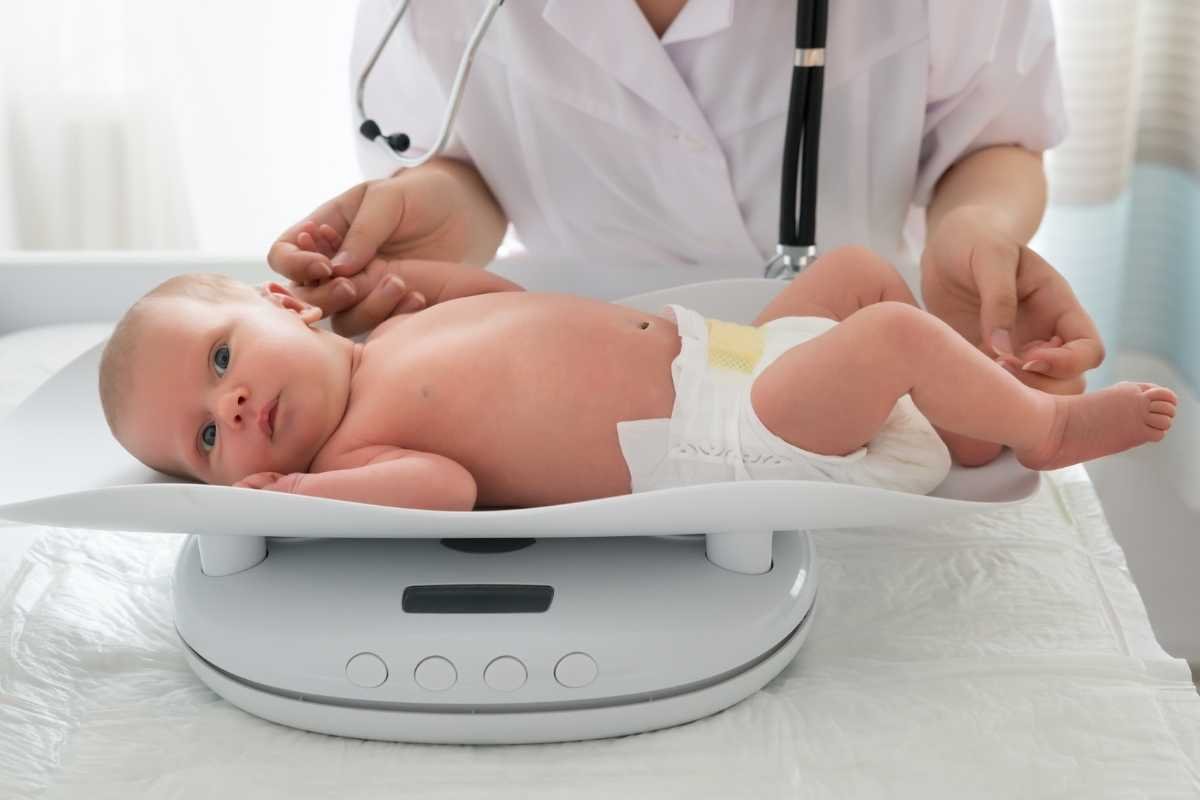 Average Baby Weight By Month: Trusted Growth Guide | The Lifesciences Magazine
