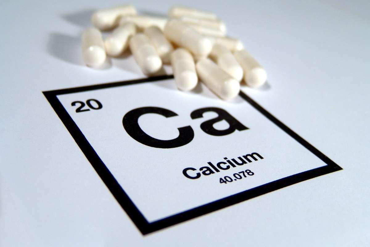 How Much Calcium Is Too Much? Discover Shocking Bone Health Facts | The Lifesciences Magazine