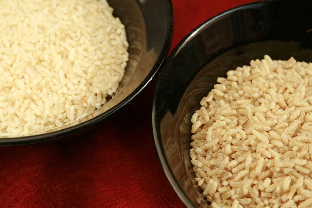 White Rice: The Surprising Superfood Boosting Vitality | The Lifesciences Magazine