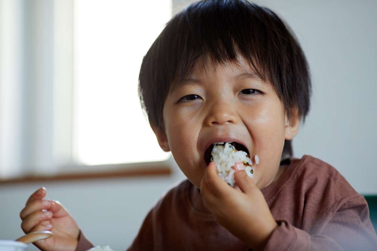 White Rice: The Surprising Superfood Boosting Vitality | The Lifesciences Magazine