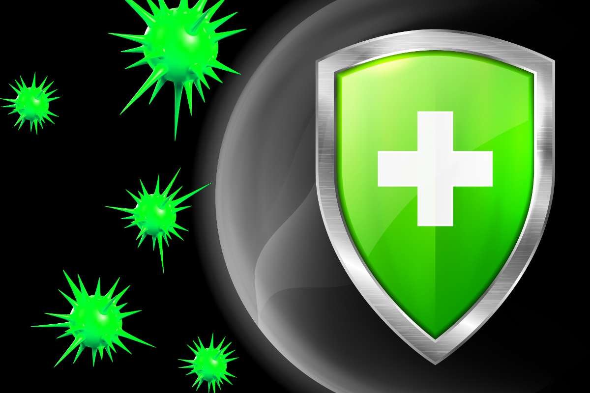 Purple Rice Nutrition: Boost Health with Bold Flavor | The Lifesciences Magazine