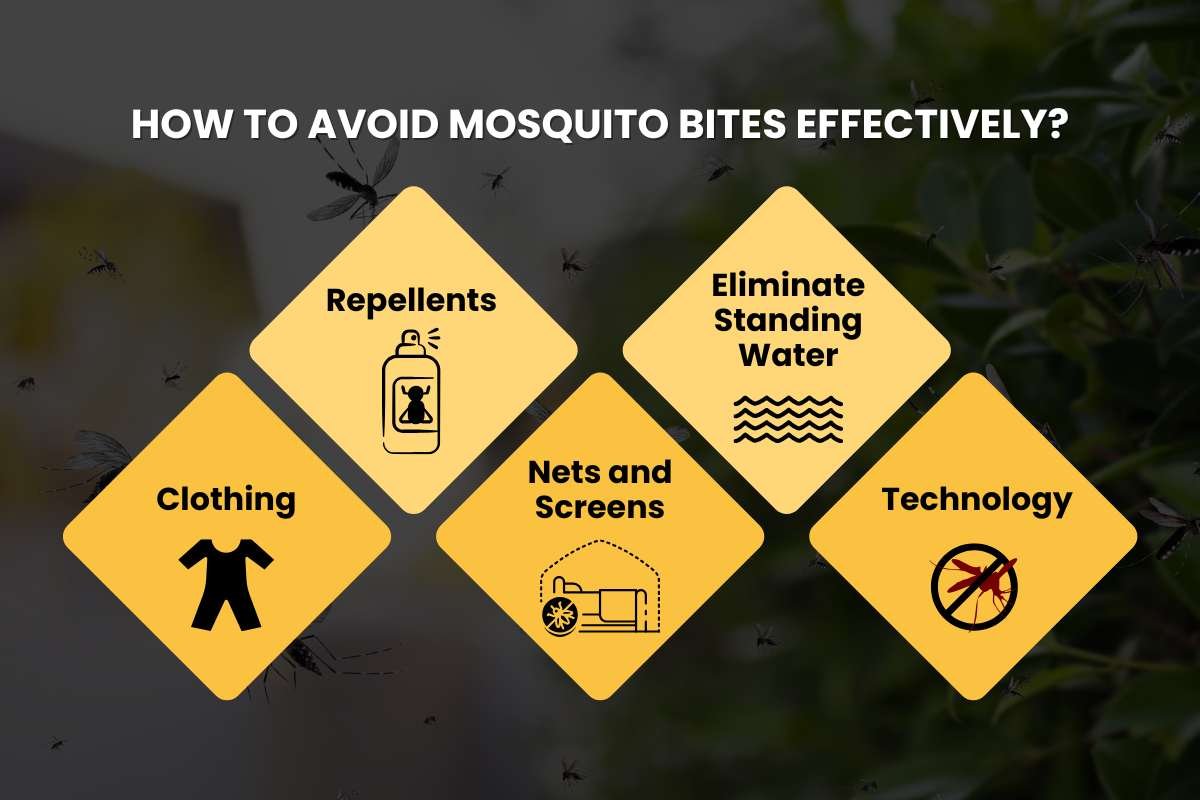 What Your Mosquito Bite Symptoms Are Really Trying to Tell You? | The Lifesciences Magazine