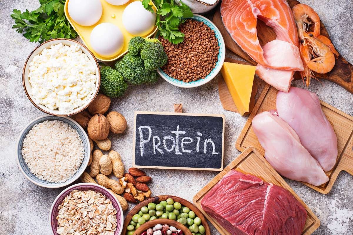 How Much Protein Per Day Do I Need for Powerful Results | The Lifesciences Magazine