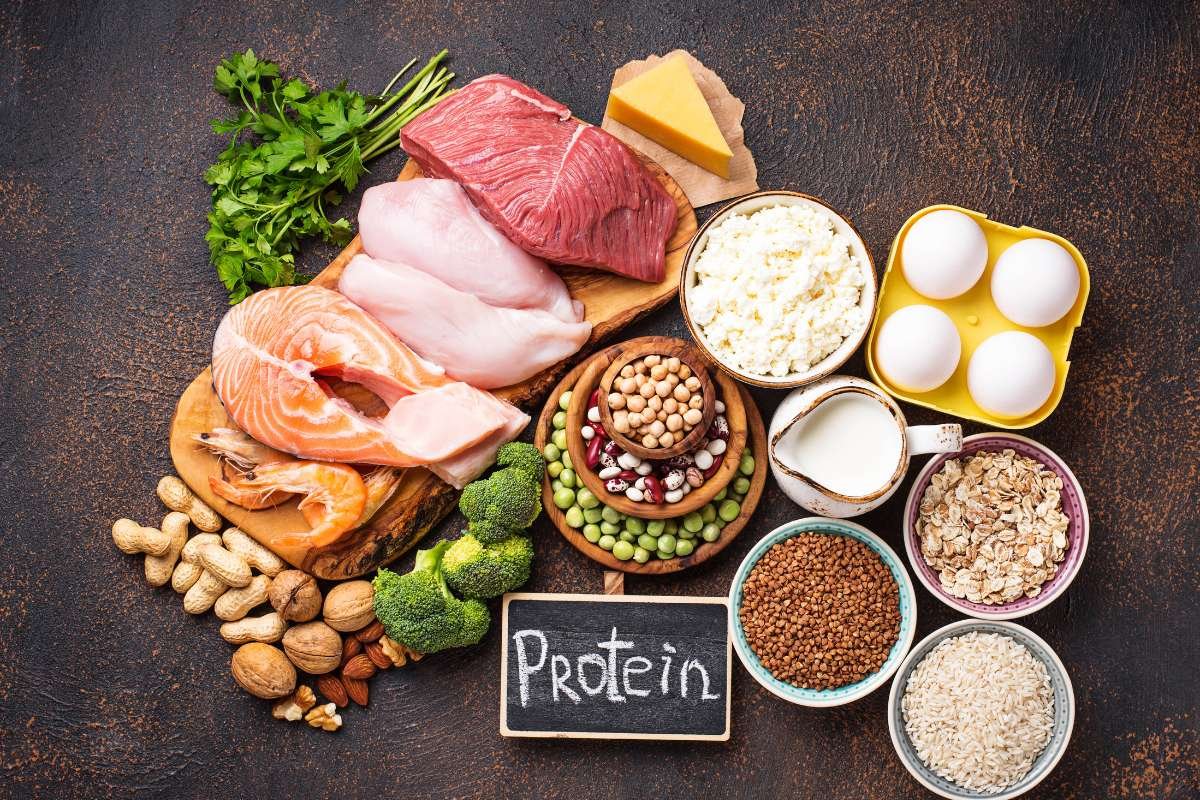 High-Protein Diet Plan: Proven Benefits & Power Foods | The Lifesciences Magazine