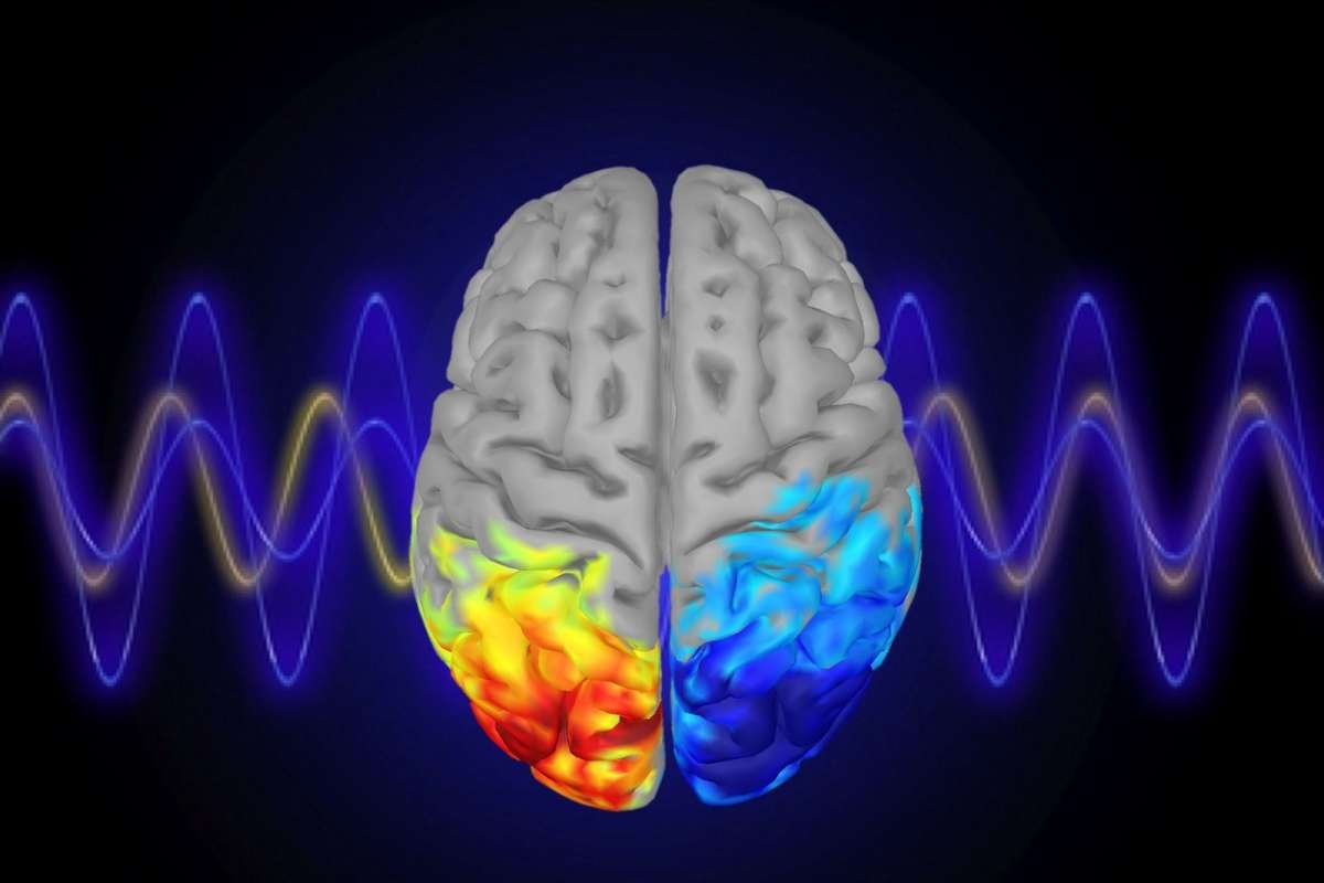 Brain Fluid Waves Revealed in Scans Linked to Attention Lapses | The Lifesciences Magazine