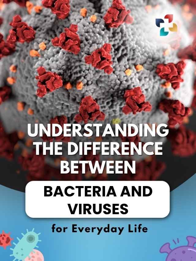 Difference Between Bacteria and Viruses Explained