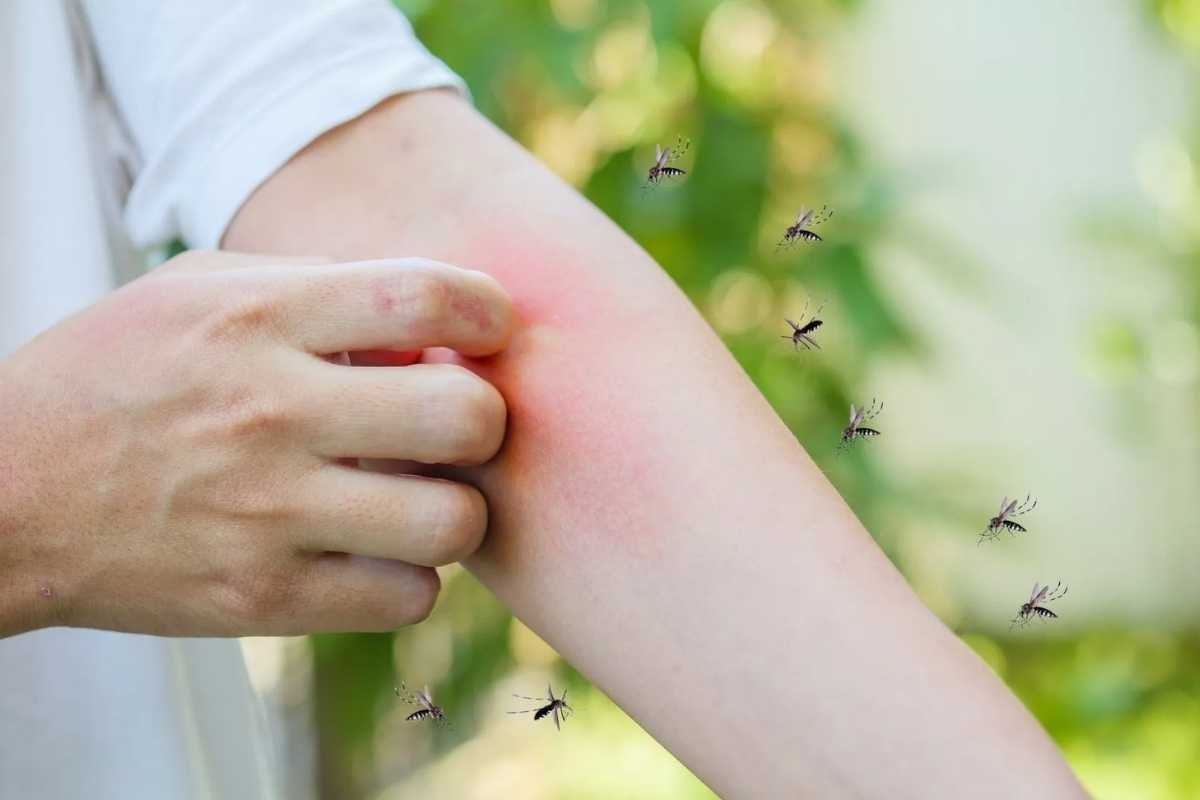 Source - phool.co_blogs 