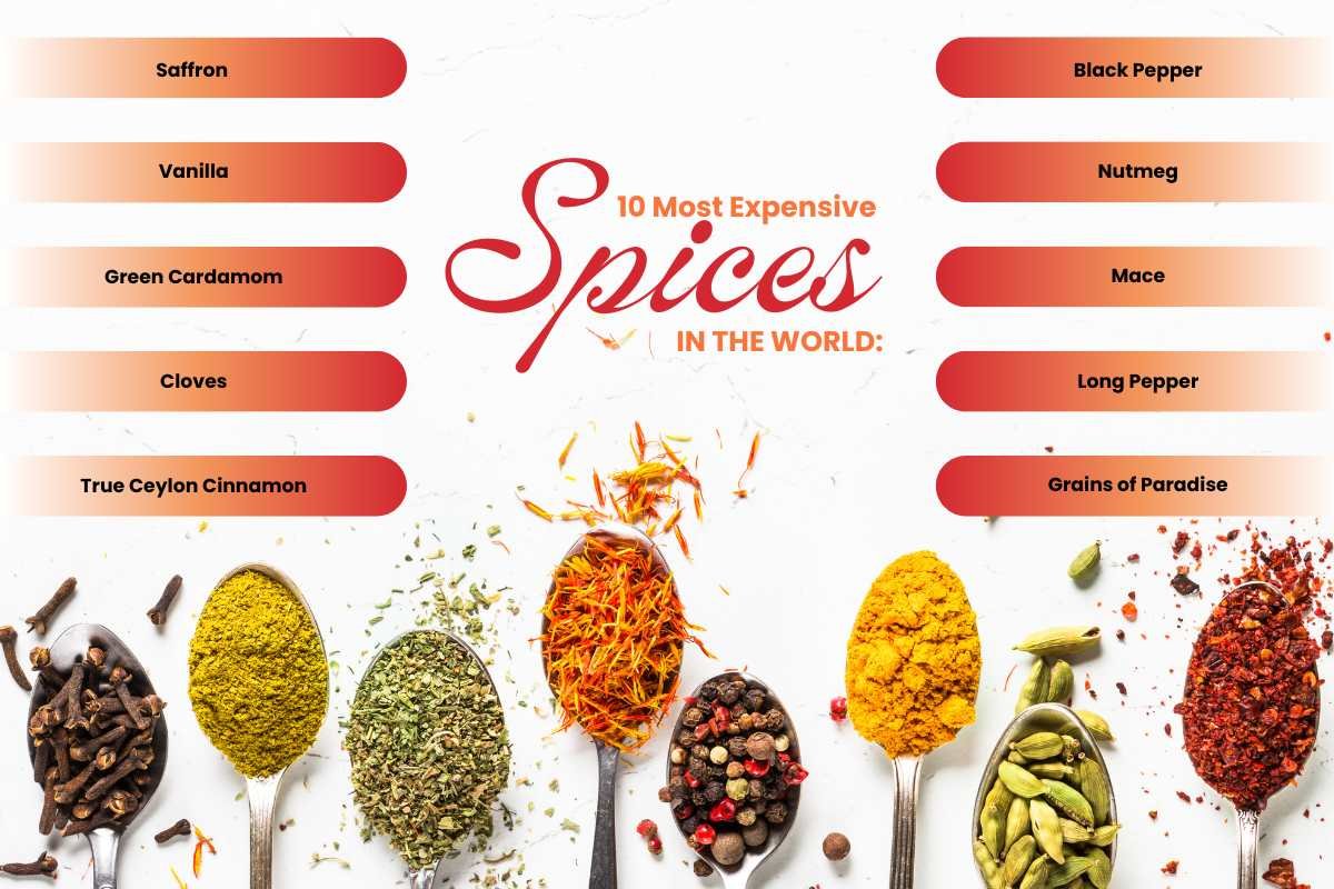 10 Most Expensive Spices in the World You Won’t Believe Exist | The Lifesciences Magazine