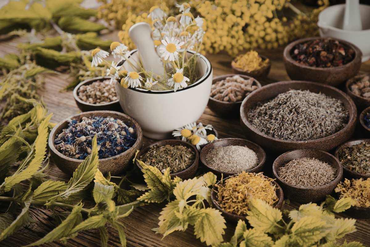 Natural Remedies for Mosquito Bite Relief: 15 Secrets | The Lifesciences Magazine