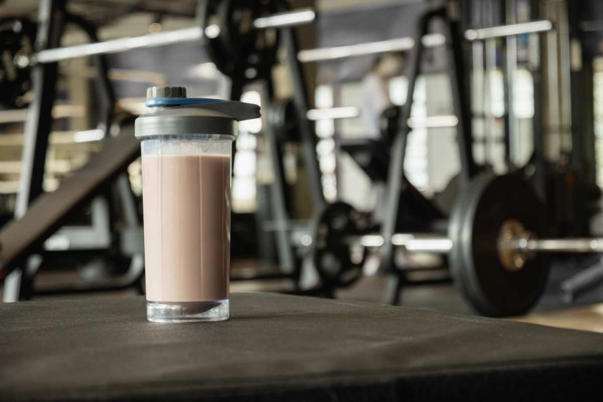 Best Protein For Building Muscle 2025: Science and Real Results | The Lifesciences Magazine