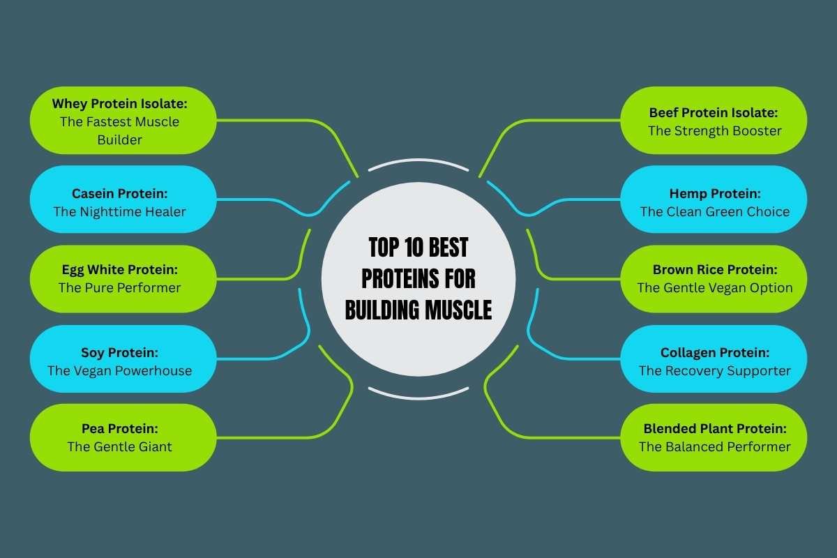 Best Protein For Building Muscle 2025: Science and Real Results | The Lifesciences Magazine