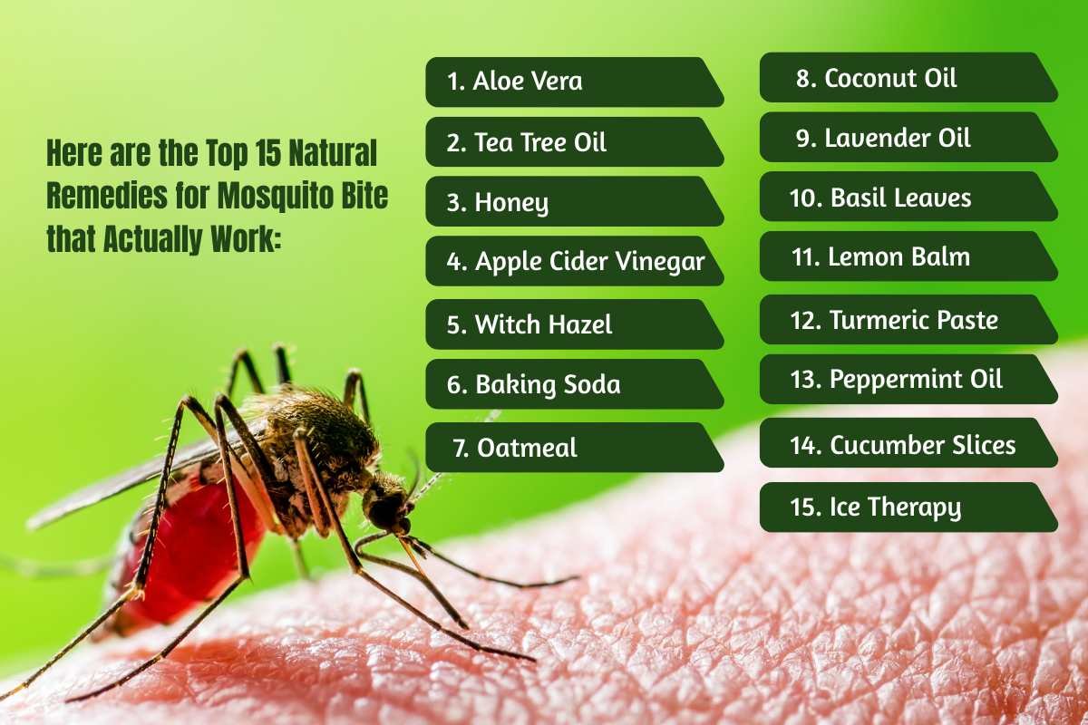 Natural Remedies for Mosquito Bite Relief: 15 Secrets | The Lifesciences Magazine