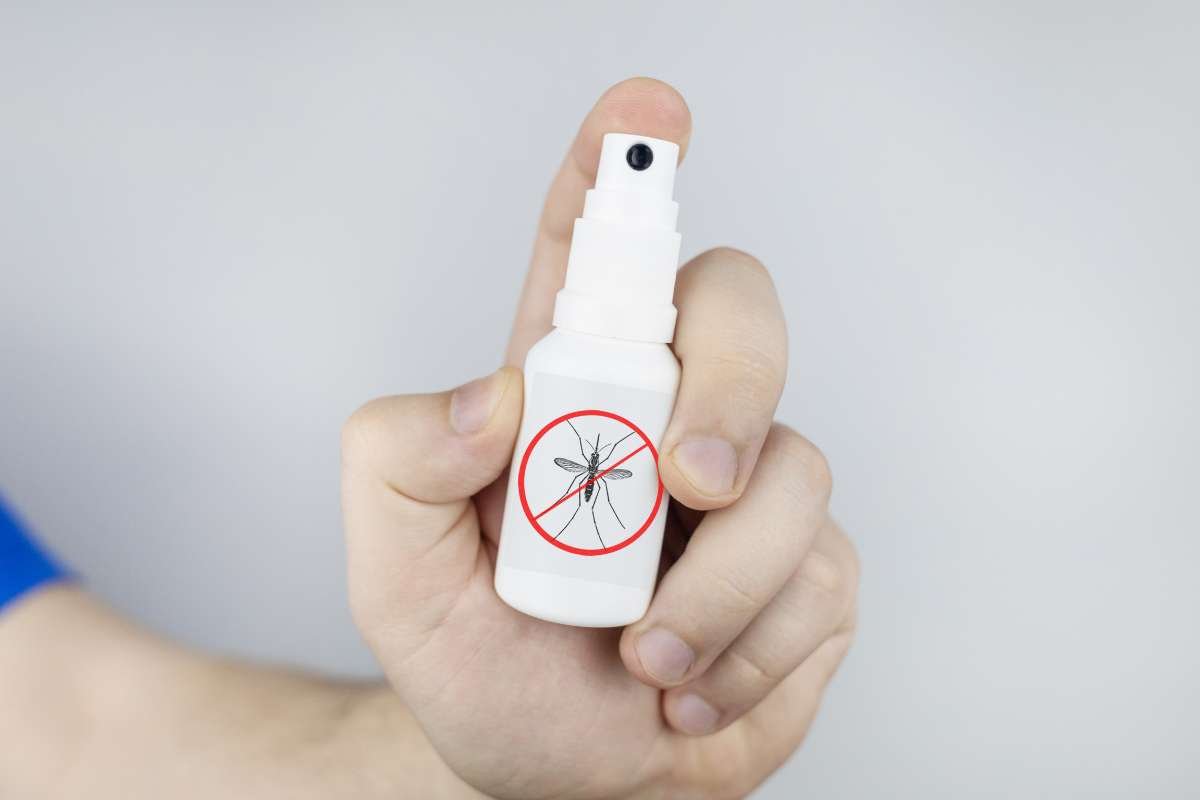 How to Prevent Mosquito Bites: Proven, Powerful Tips That Work | The Lifesciences Magazine