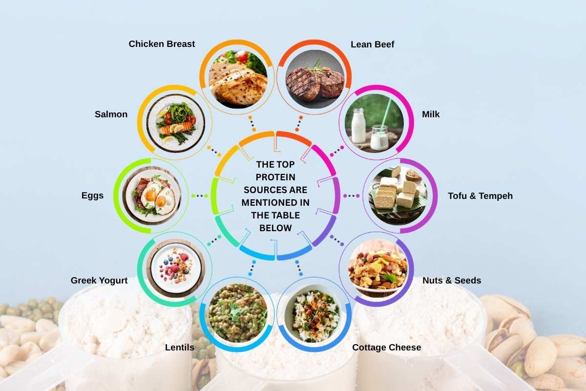 Best Protein For Building Muscle 2025: Science and Real Results | The Lifesciences Magazine