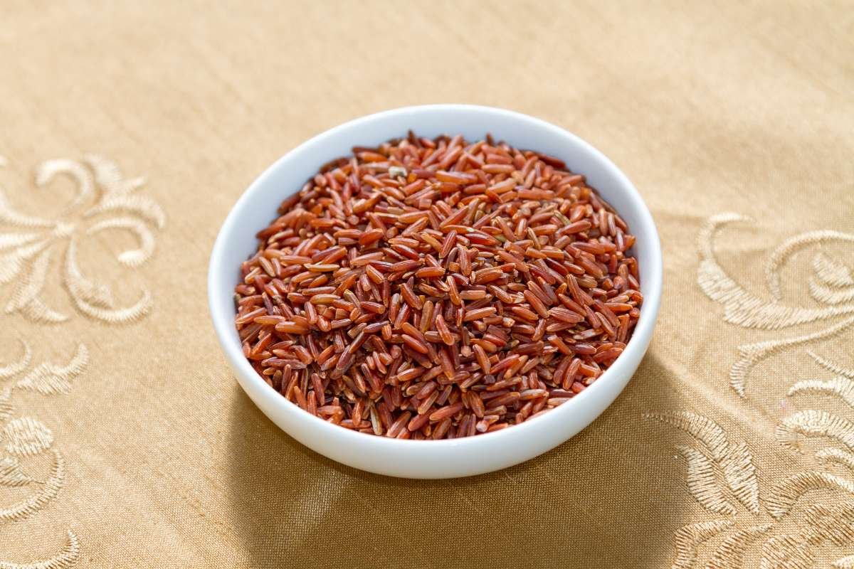 Powerful Brown Rice Nutrition Facts Reveal Essential Health Benefits | The Lifesciences Magazine