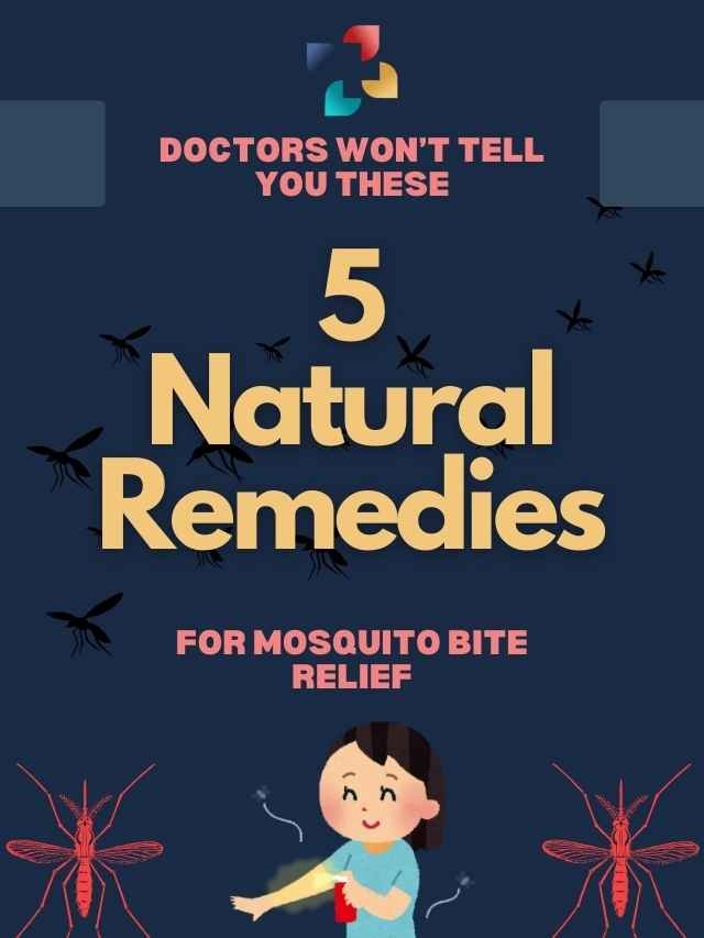 Natural Remedies for Mosquito Bite Relief: 5 Secrets
