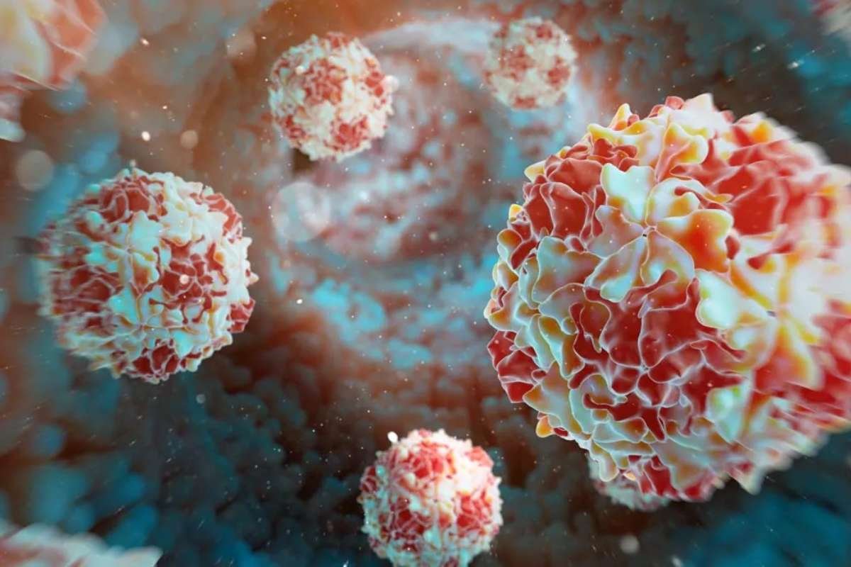 Wild Polio Virus Detected in Germany’s Wastewater | The Lifesciences Magazine