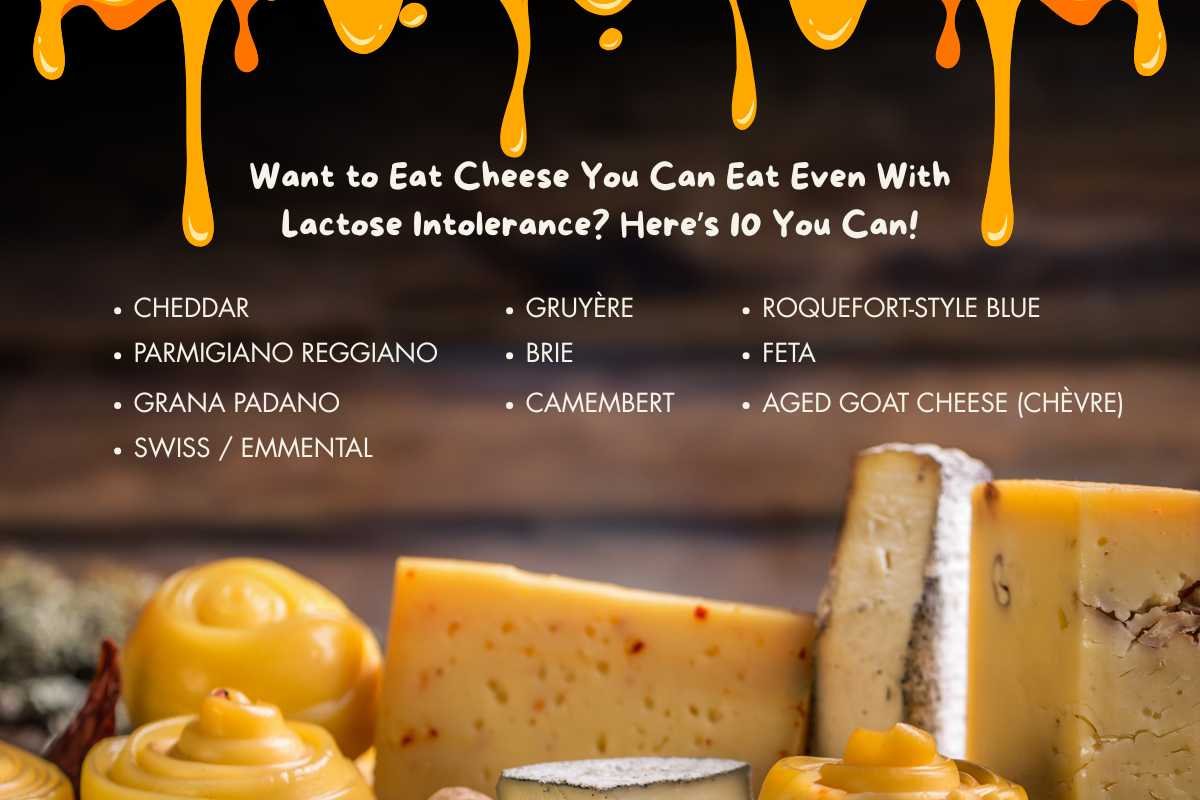 Cheese You Can Eat Despite Lactose Intolerance: 10 Essential Varieties | The Lifesciences Magazine