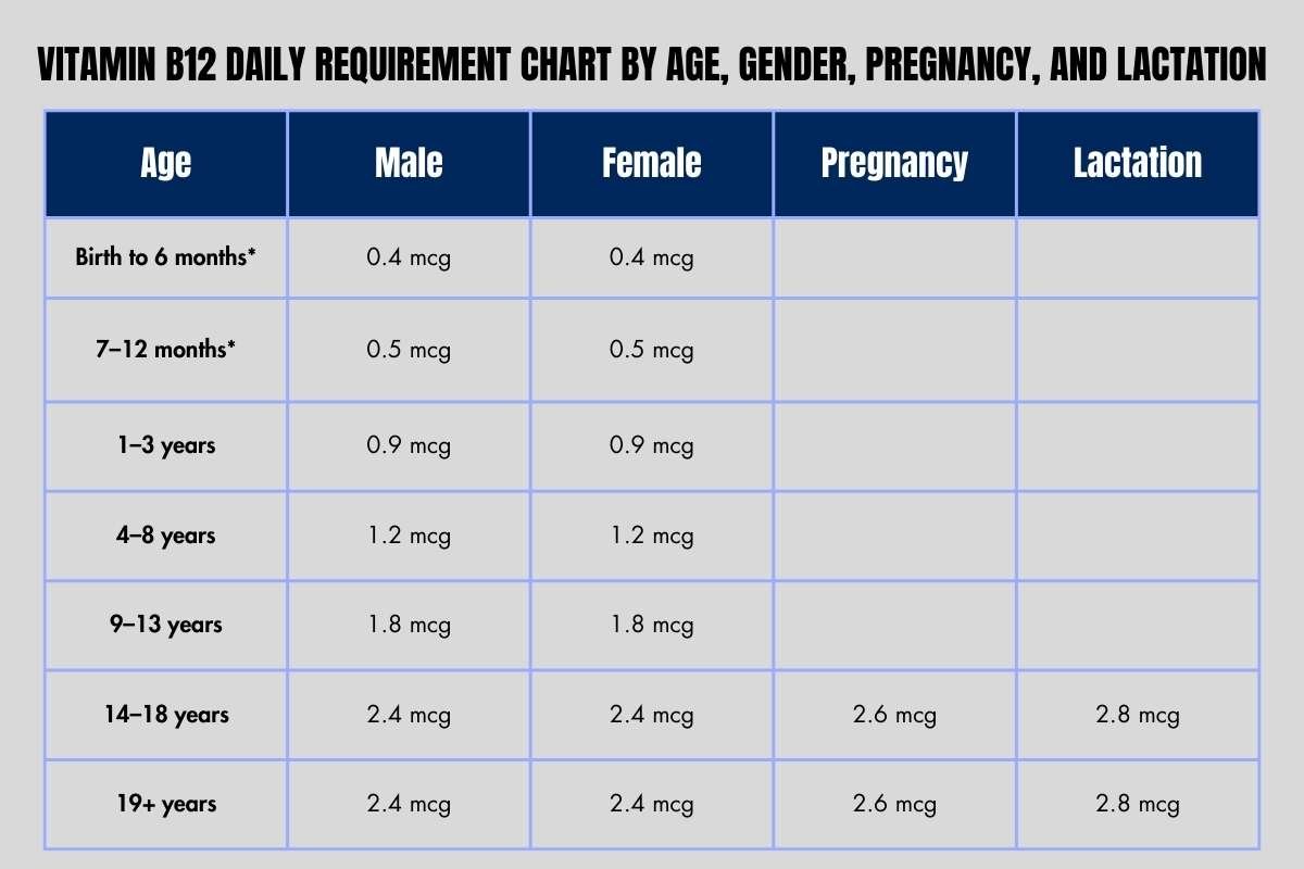 Vitamin B-12 Foods for Vegetarians and Vegans: A 2026 Nutrition Guide | The Lifesciences Magazine