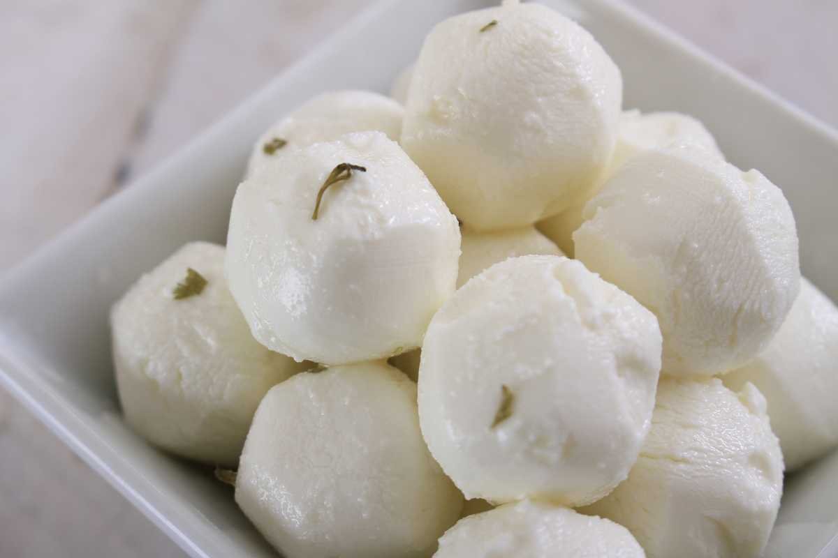 Cheese You Can Eat Despite Lactose Intolerance: 10 Essential Varieties | The Lifesciences Magazine