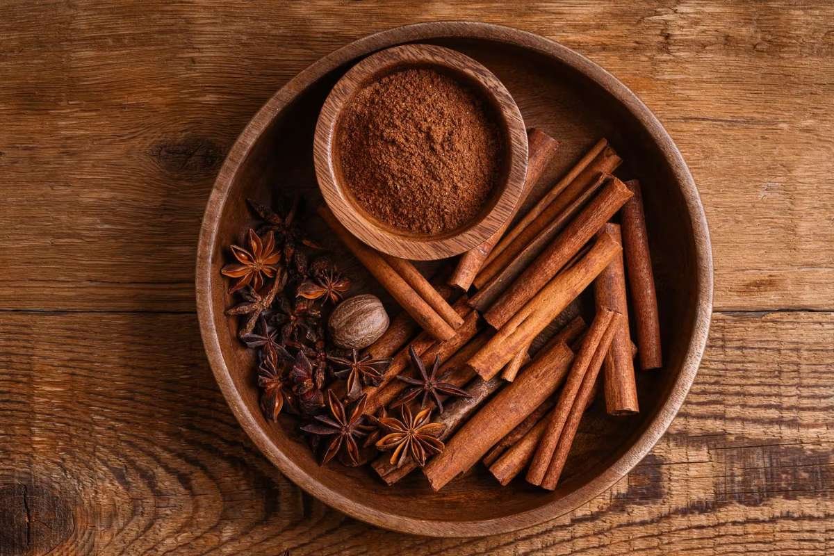 Best Ways to Use Natural Tick Repellents at Home | The Lifesciences Magazine