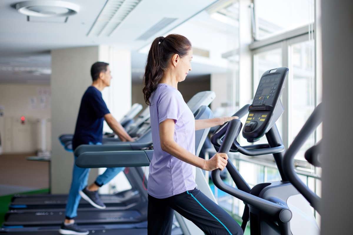 Moringa Oleifera: Vital, Powerful Plant for Daily Wellness | The Lifesciences Magazine