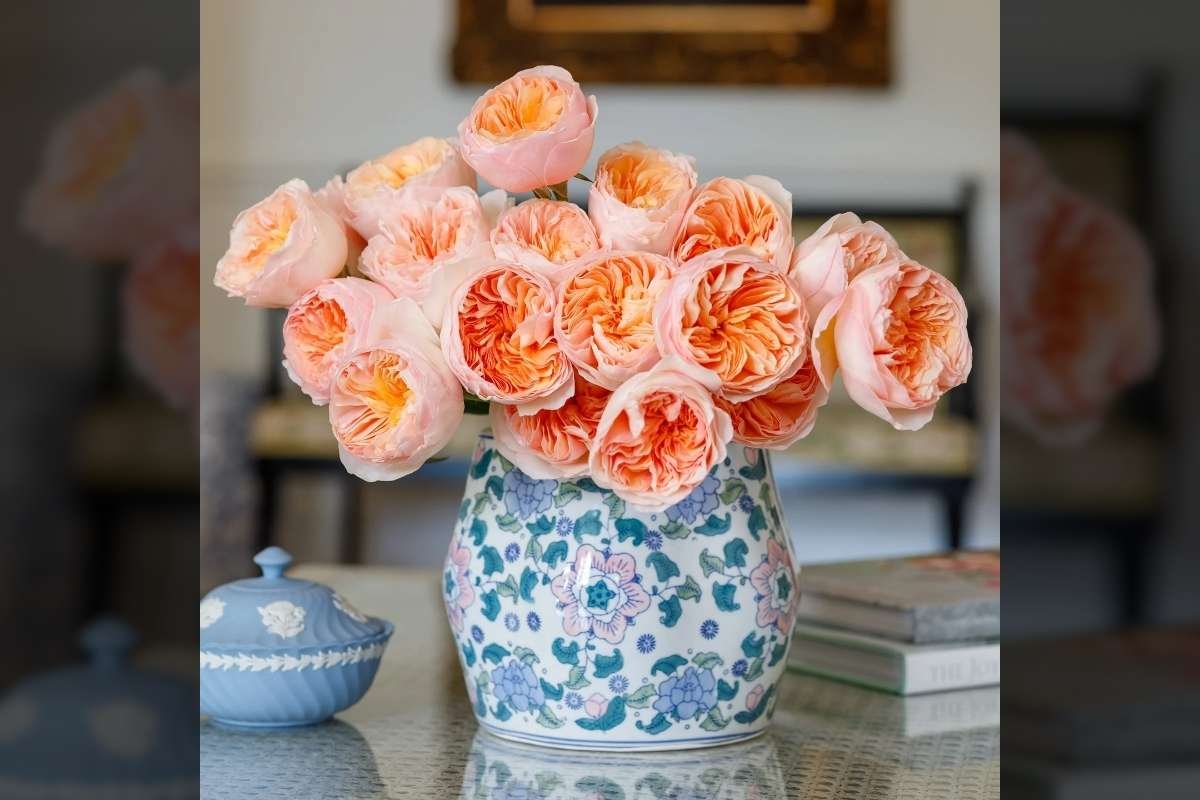 10 Most Expensive Flowers in the World and Why They Cost More | The Lifesciences Magazine