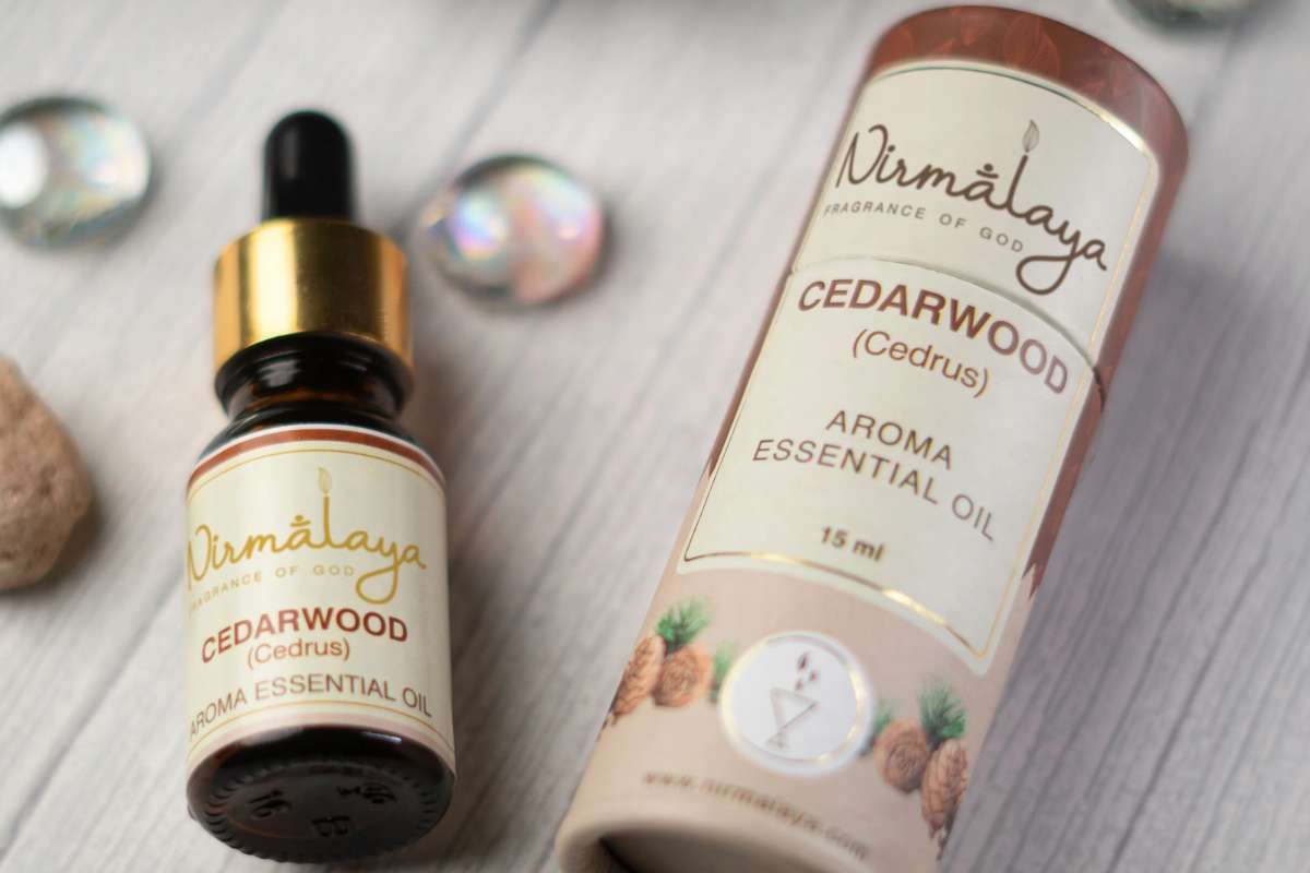 Essential Oils to Repel Ticks: Natural Home & Outdoor Protection | The Lifesciences Magazine