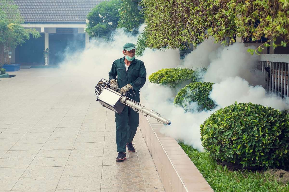 Bed Bug Bites vs Mosquito Bites That Stop the Itch Panic | The Lifesciences Magazine