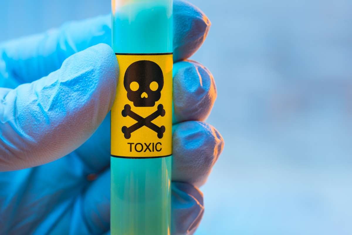 Image by D-Keine from Getty Images Signature