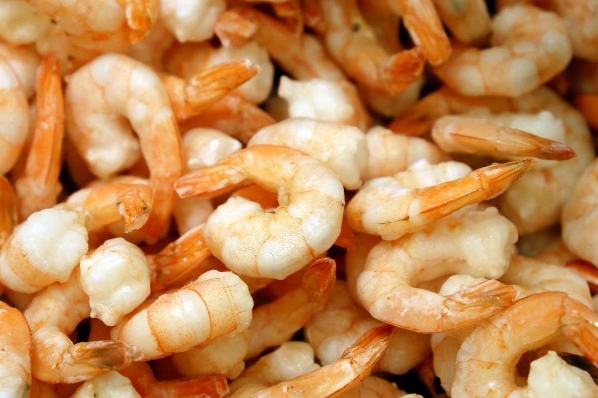 Frozen Shrimp Recall: Products Pulled in 17 States Over Radioactive Contamination | The Lifesciences Magazine