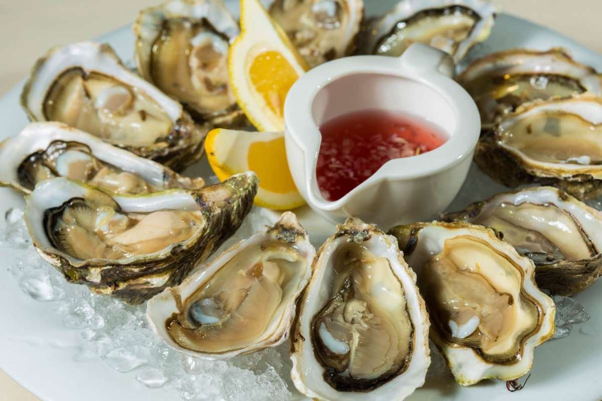 Raw Oysters Tied to Multi-State Salmonella Outbreak as Cases Continue to Rise | The Lifesciences Magazine