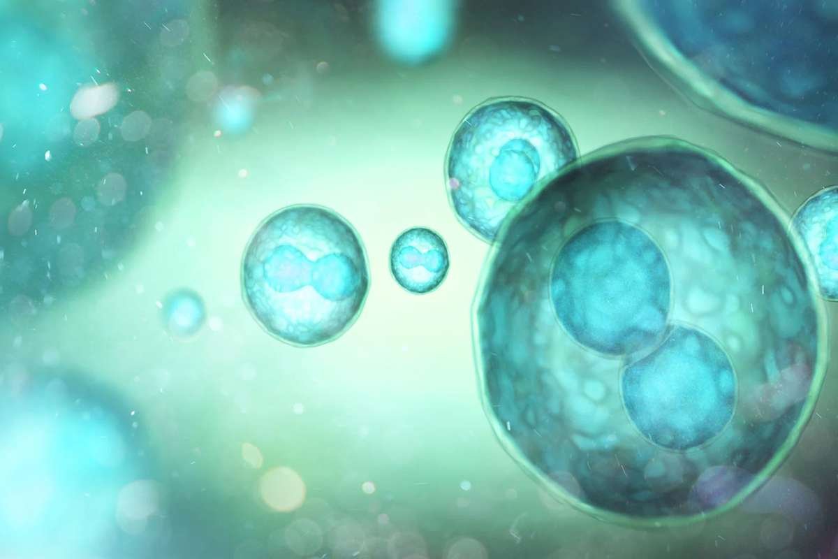 Source - scitechdaily.com