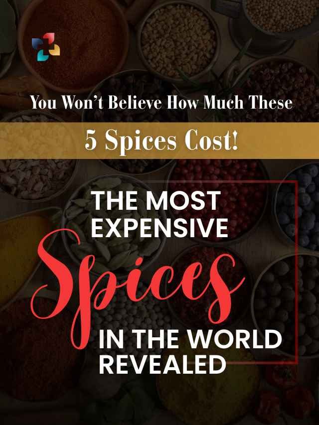 05 Most Expensive Spices in the World You Won’t Believe Exist